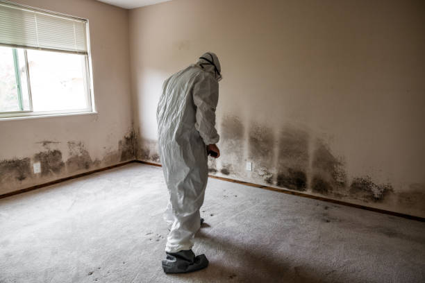 Mold Documentation for Insurance Claims in Levittown, PA